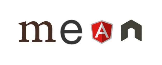 MERN/MEAN Stack Developer